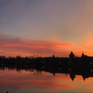 Meet your Posher, Maggie